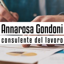 Consulente del Lavoro Gondoni logo