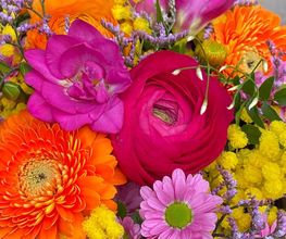 Blumen REIBOLD Bild 3
