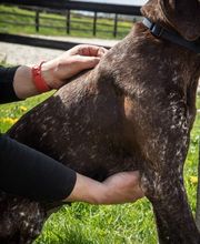 Loncke Clothilde image 9