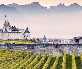 Les Celliers du Chablais SA Bild 9