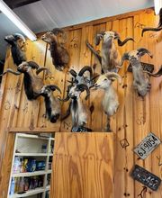 Independence Ranch image 17