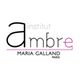 Institut Ambre