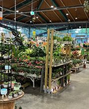 HORNBACH Gartencenter Esslingen Bild 4