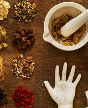 BAKER ALISON image 2