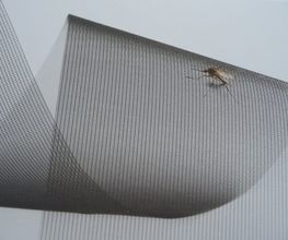 A Window Solution AG Bild 1