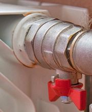 Grasset Anthony image 2