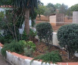 DSC_0059_1.jpg
