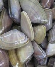 Bar Marisquería Tres Hermanos imagen 15