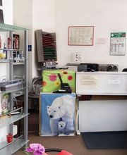 Autoschilder & Zulassungen STK Chemnitz Bild 3