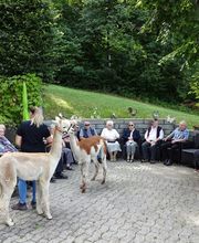 Stiftung Alters- Pflegeheim Riedacker - Alpakabesuch im Paradiesli beim Wohnhuus Niesen
