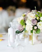 1A Blumen Beck Bild 2