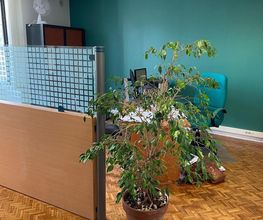 Agence Descubes Ribierre image 5