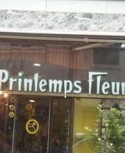 Printemps Fleuri image 2