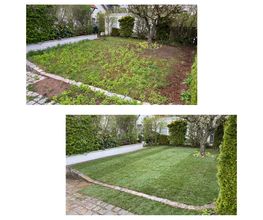 Gartenservice Mark Miess Bild 31