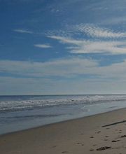 SurfSide Dog LLC image 1