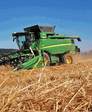 Albisser & Bucher GmbH Bild 3