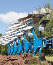 Eckardt Alexander Bild 9