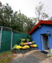 Tierpension Haas Bild 3