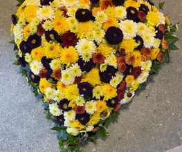 Blumen Petermann Bild 9