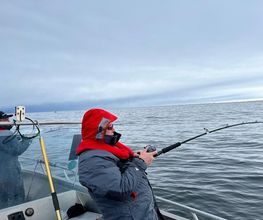 Tackle Dealer Angelshop online