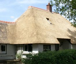 Aasman Rietdekkersbedrijf
