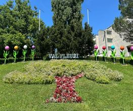 Val Fleuri, lieu de vie (EMS) SA Bild 1