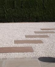 CSTP image 9