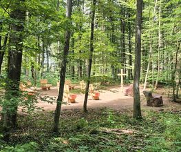FriedWald Wiesenbach Bild 1