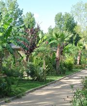 Decalque Paysage image 2
