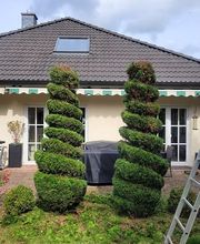 RX Immobilienservice