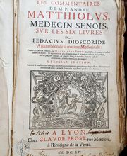 Gauzy Jean-louis image 3