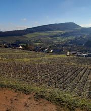 Les Arbillons Vignoble image 1