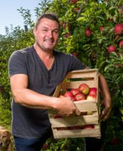 Talbot Fruit image 3