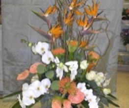 Blumen Jakob Bild 7