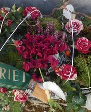 Bruckner Anne Marie image 3