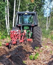 ALLIANCE Forêts Bois image 2