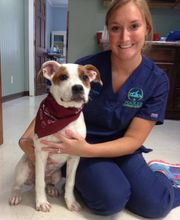Pooler Veterinary Hospital image 3