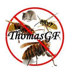 ThomasGF