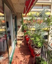 Cumbres Espace vert image 10