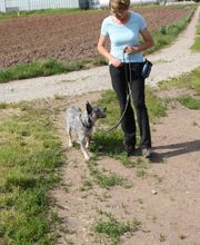 MenschUndHundZentrum Bild 44