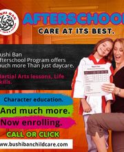 Bushi Ban Martial Arts & Fitness image 10