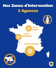 Radical Anti Nusible image 2