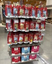 Orchestra MARZY - NEVERS image 8