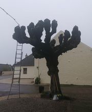 Les 4 Saisons image 9