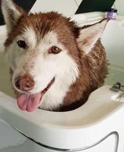 Baker Street image 13