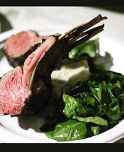 Bobcat Teddy's Icehouse image 5