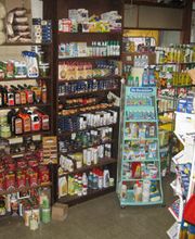 Araignée Rouge Bild 6