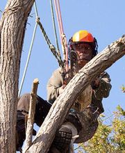 Lacroix Frédéric image 1