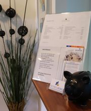 Physiotherapie Praxis Eichelberg Bild 16