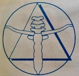 Thibault De Beauregard Pierre